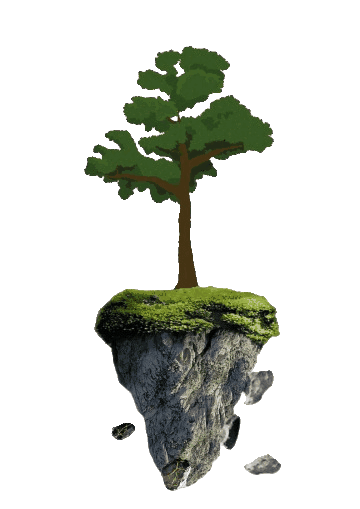 pohon